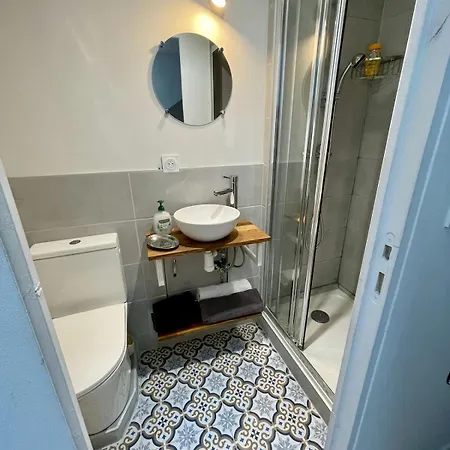 Apartment Feutrin Charming Duplex With Terrace Saint-Etienne (Loire)